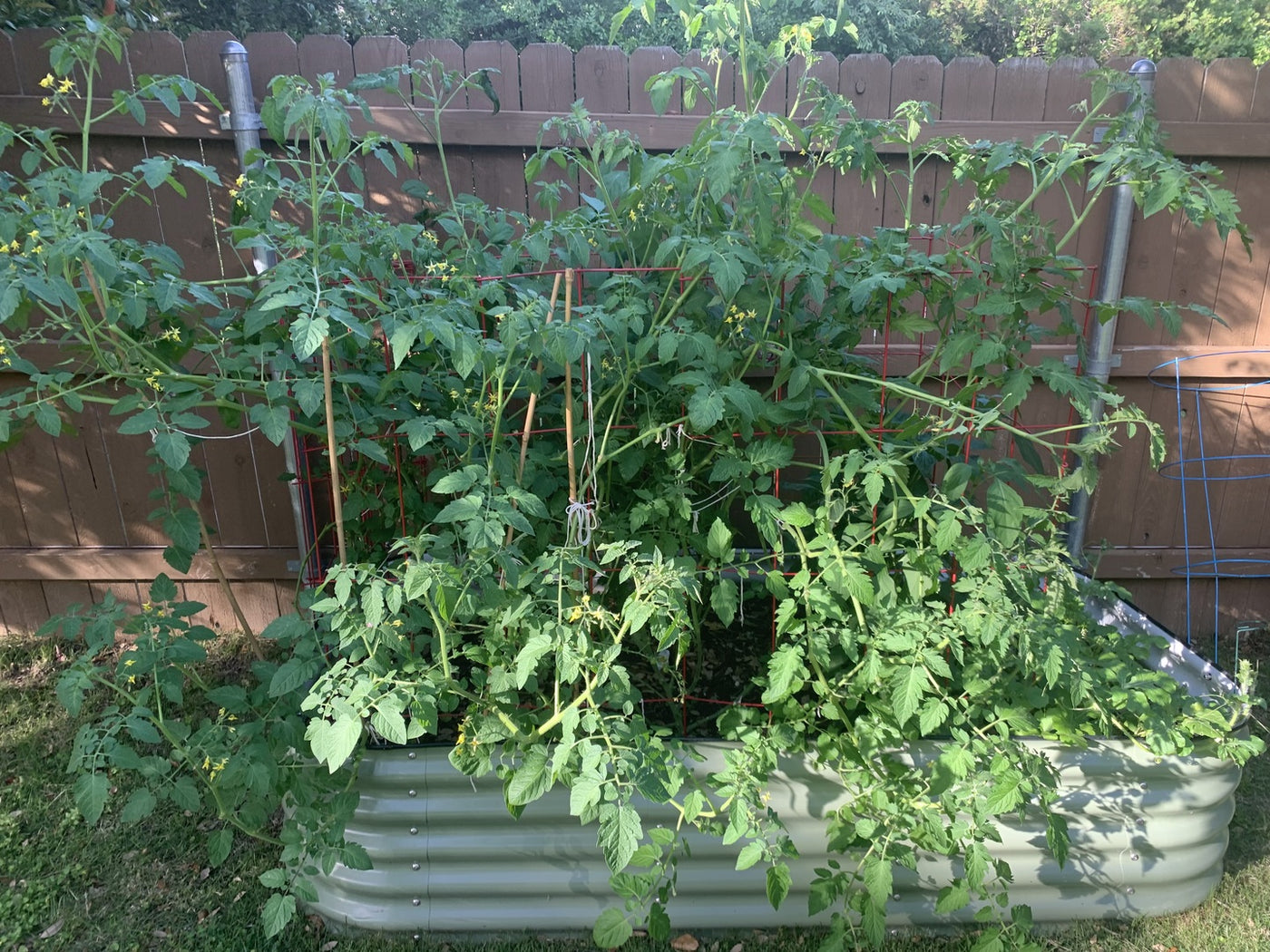 Reasons to Buy Metal Modular Raised Garden Beds