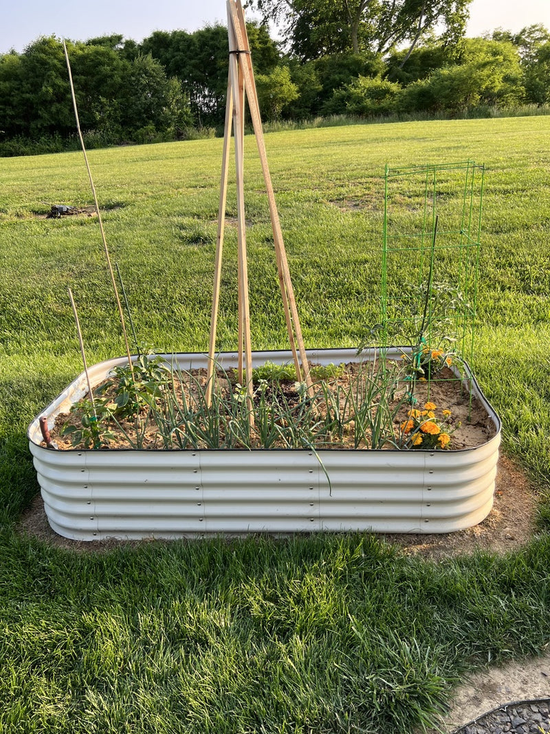 Durable green bed. Best Raised Garden Bed Recommendations