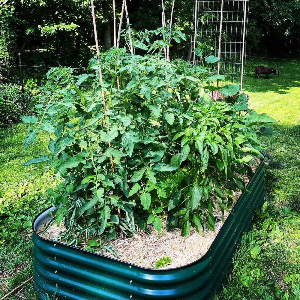Upgrade Your Garden With Corrugated Steel Raised Garden Beds
