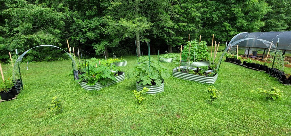 What Are The Best Modular Raised Garden Beds?