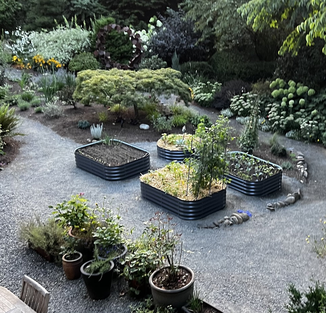 Raised Garden Beds FAQs