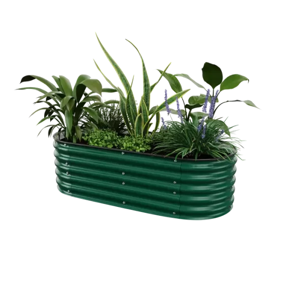 17-tall4-british-green