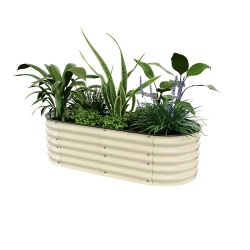 17-tall4-pearl-white