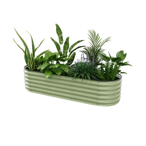 17-tall6-green 17-tall6-green