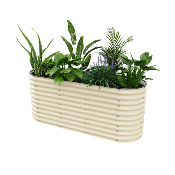 32-tall6-pearl-white