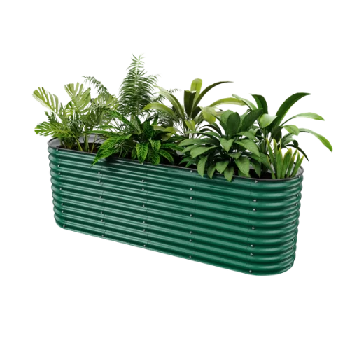 32-tall9-british-green