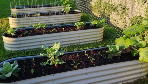 home-contribute-banner