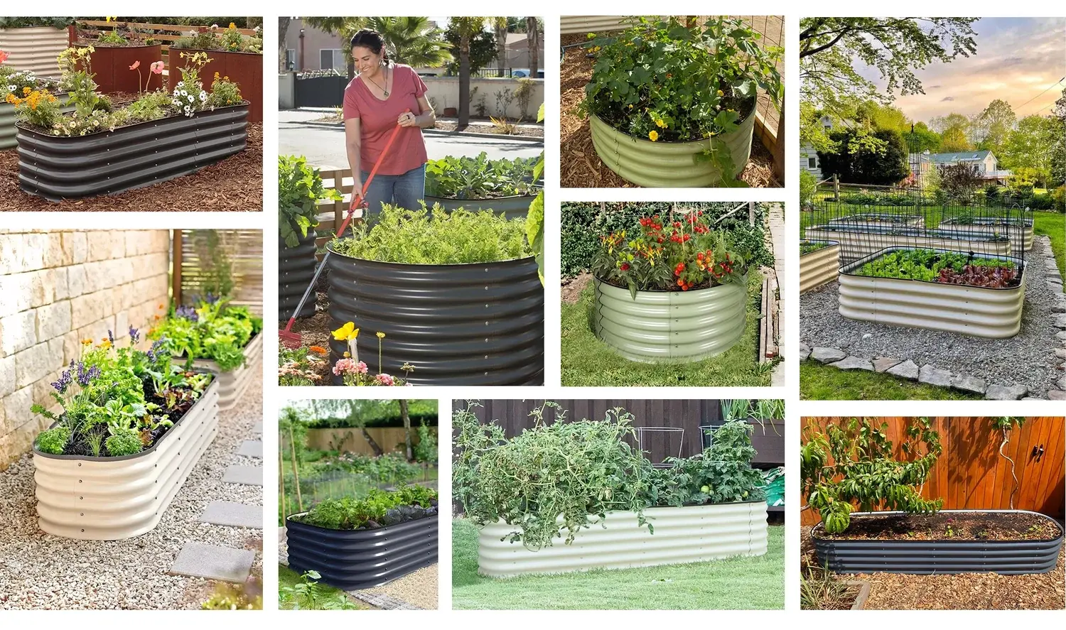 home-our-feeds-gallerys