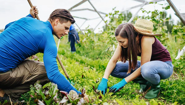 home-reward-for-reviewbanner