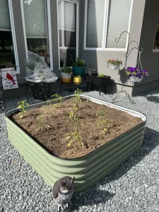 nossta_news_single20230605_2