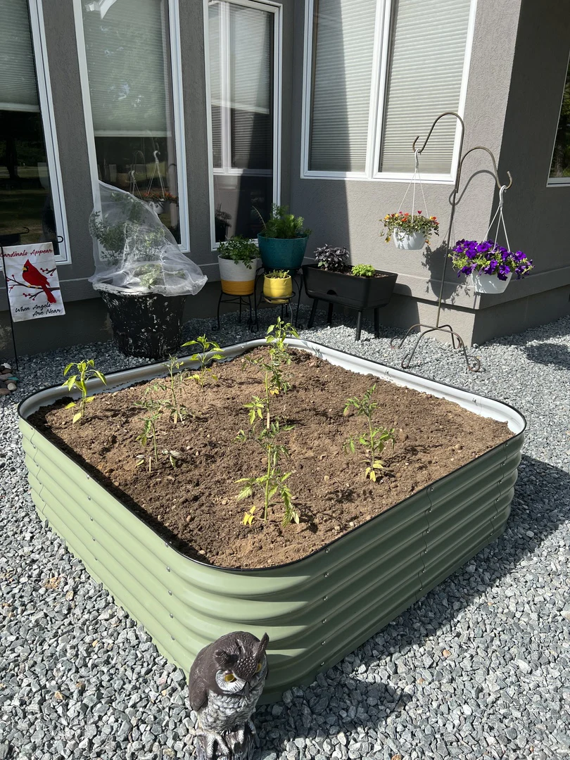 nossta_news_single20230605_2