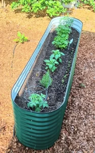 nossta_news_single20230605_4