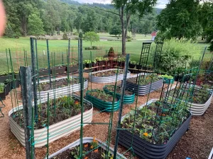 nossta_news_single20230605_7