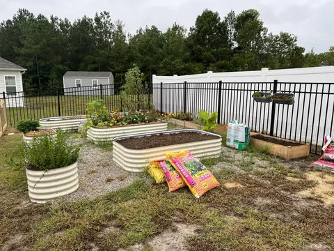 nossta_news_single20230605_7_2