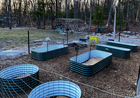 nossta_news_single20230608_1