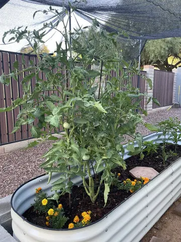 nossta_news_single20230608_3_3