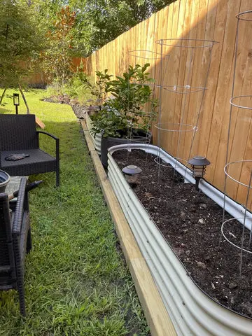 nossta_news_single20230608_4_1