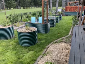 nossta_news_single20230608_6