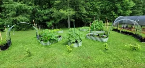 nossta_news_single20230608_7