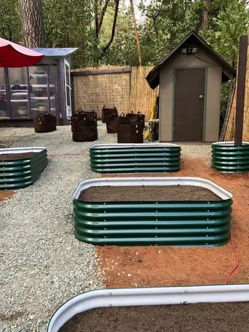 nossta_news_single20230613_1_1