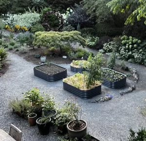 nossta_news_single20230613_3