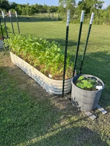 nossta_news_single20230613_5