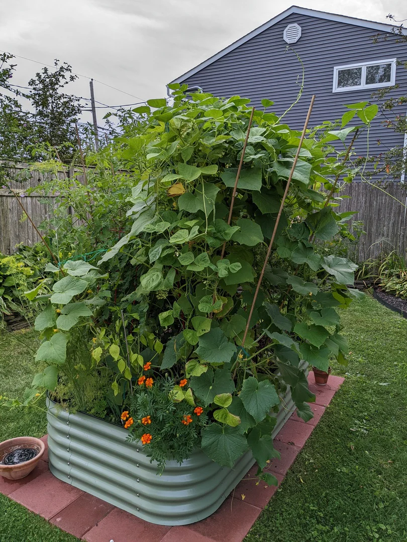 nossta_news_single20230616_10