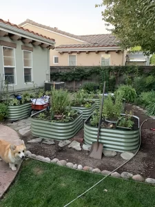 nossta_news_single20230616_14