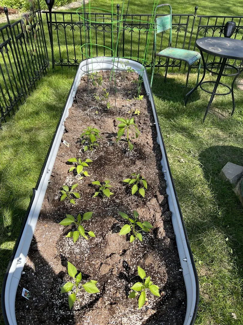 nossta_news_single20230616_17