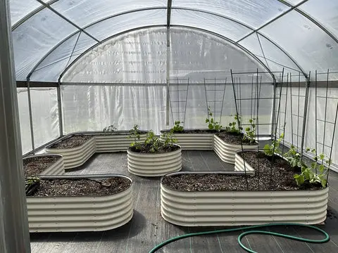 nossta_news_single20230616_17_1