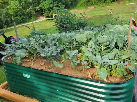 nossta_news_single20230616_17_2