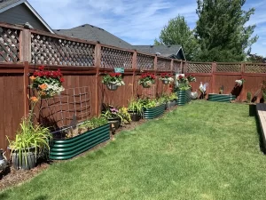 nossta_news_single20230616_4