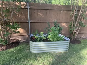 nossta_news_single20230620_1