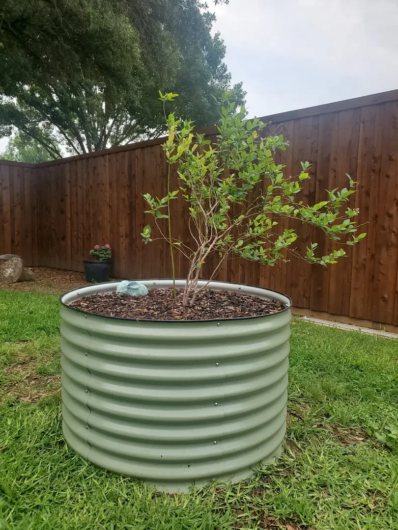 nossta_news_single20230620_10