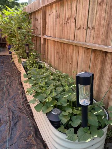 nossta_news_single20230620_1_1