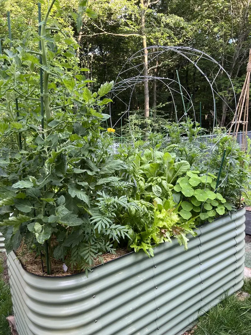 nossta_news_single20230620_3