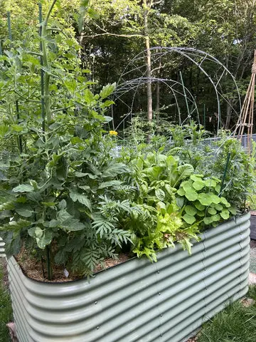 nossta_news_single20230620_3_1