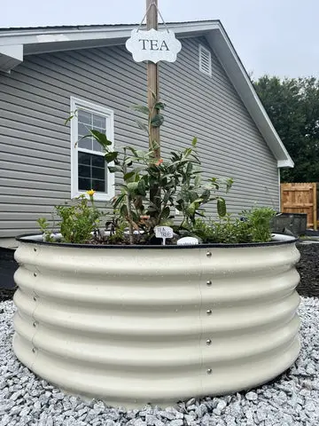 nossta_news_single20230620_5