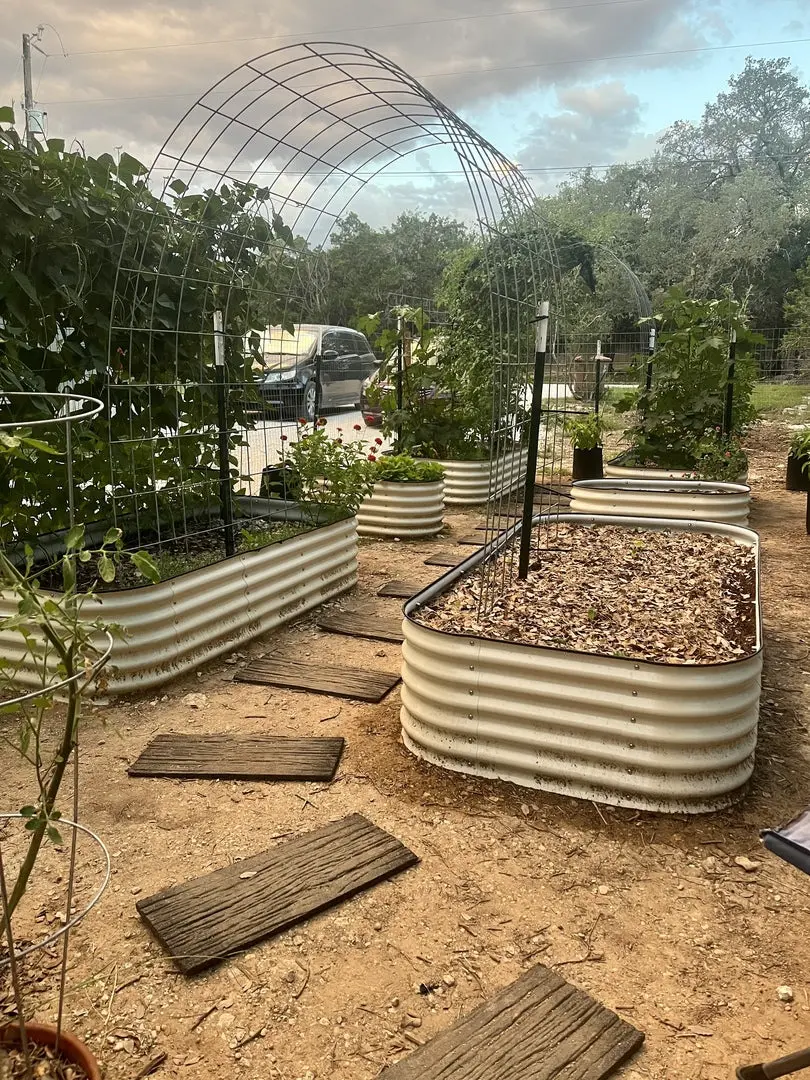 nossta_news_single20230620_9