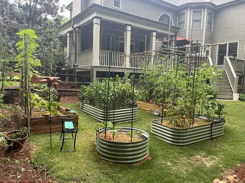 nossta_news_single20230623_1_1