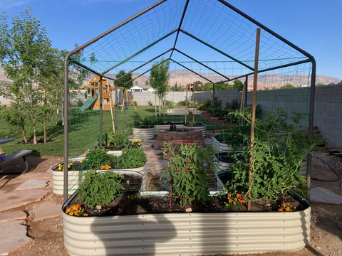 nossta_news_single20230623_4_2