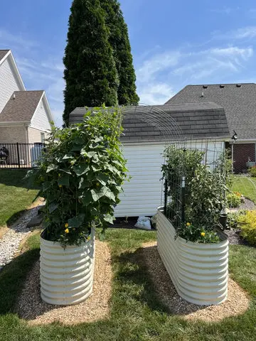 nossta_news_single20230623_4_3