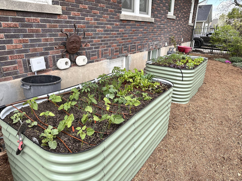 nossta_news_single20230628_16_1