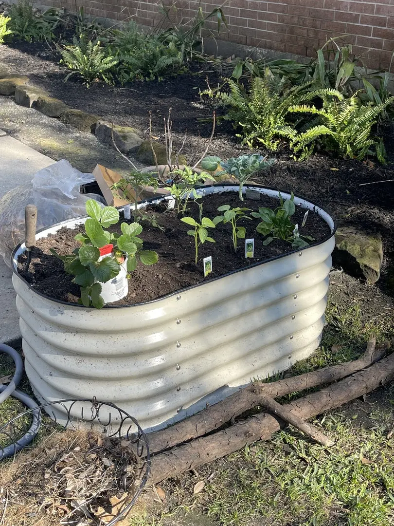 nossta_news_single20230628_2