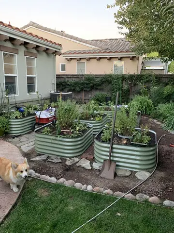 nossta_news_single20230628_2_1