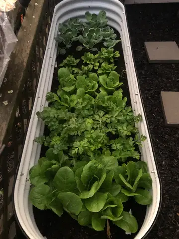 nossta_news_single20230628_3_2