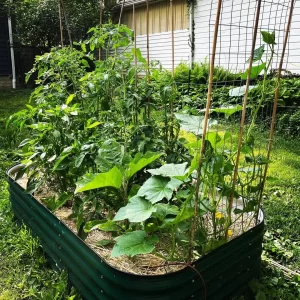 nossta_news_single20230628_5