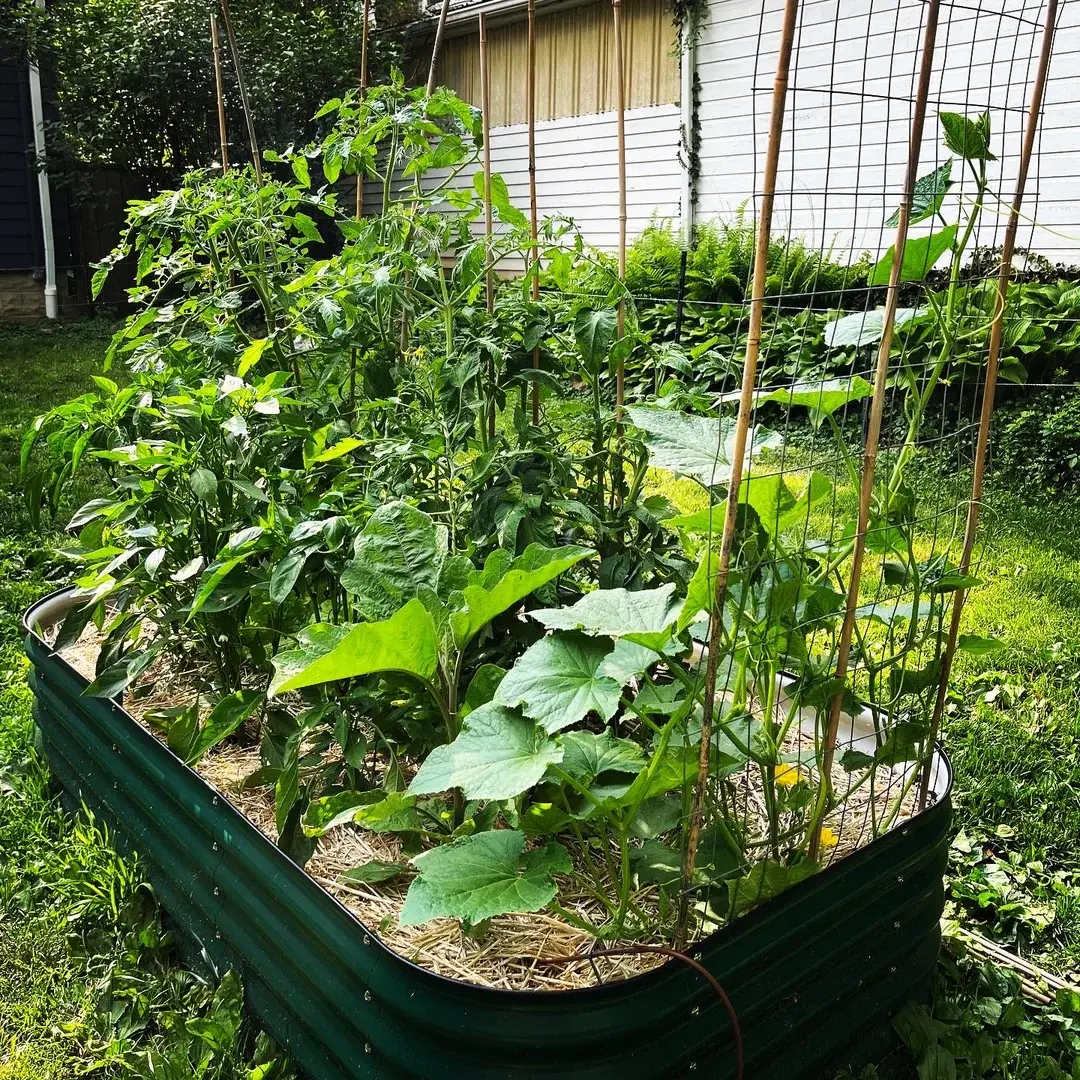 nossta_news_single20230628_5