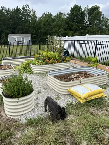 nossta_news_single20230628_5_1