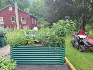 nossta_news_single20230628_6